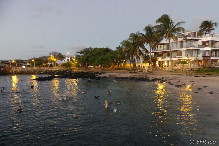 Uferpromenade in Baquerizo Moreno, Galapagos