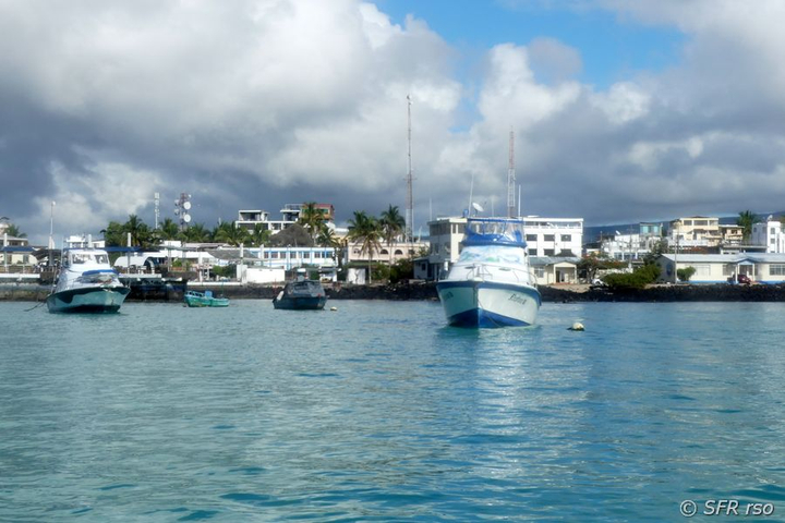 Hafen in Puerto Ayora, Galapagos