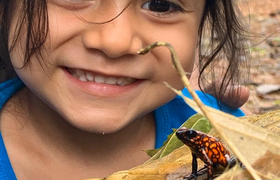 ecuadorianisches Mädchen mit exotischem Frosch 