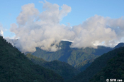 Bergnebelwald auf Route der Kolibris, Ecuador