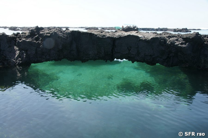 Cabo Rosa in Los Tuneles, Galapagos