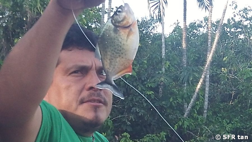 Fisch Siona Lodge Nationalpark Cuyabeno Ecuador