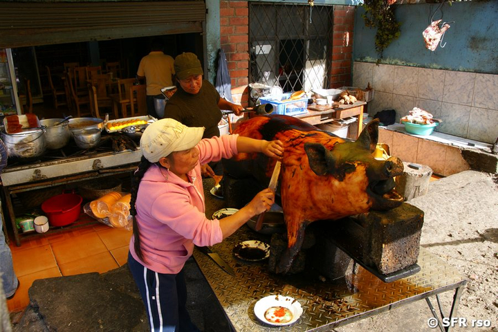 Frau mit Schwein in Ecuador