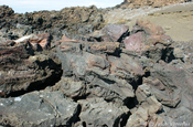 Lavastrukturen auf der Insel Bartolome Galápagos