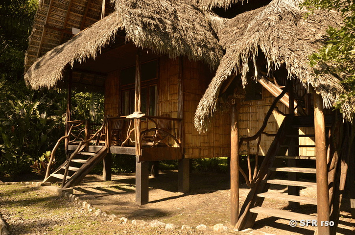 Selina Amazon Lodge Bungalow Ecuador