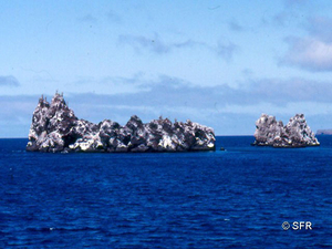 Ecuador Galápagos Felsen