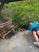 Magisches Galapagos Inselhüpfen 