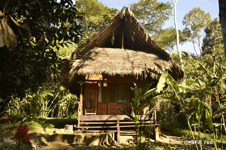 Selina Amazon Lodge Bungalow Ecuador