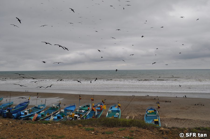 Strand mit Fregattvögeln und Booten in Ecuador 
