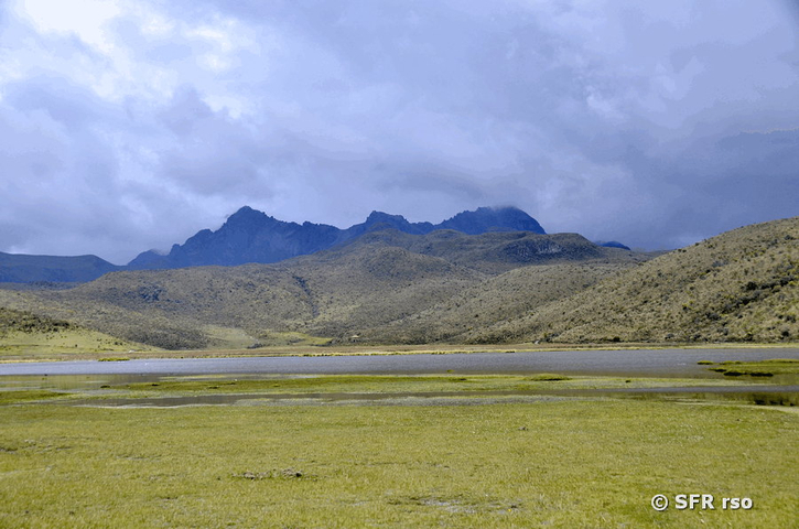 Limpiopungo Lagune am Ruminahui, Ecuador