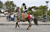 Chagra Pintag Reiter in Ecuador