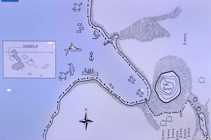 Karte von Tagus Cove, Galapagos