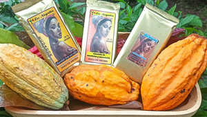 selbstproduzierte Schokoladentafeln aus Kakao Ecuador