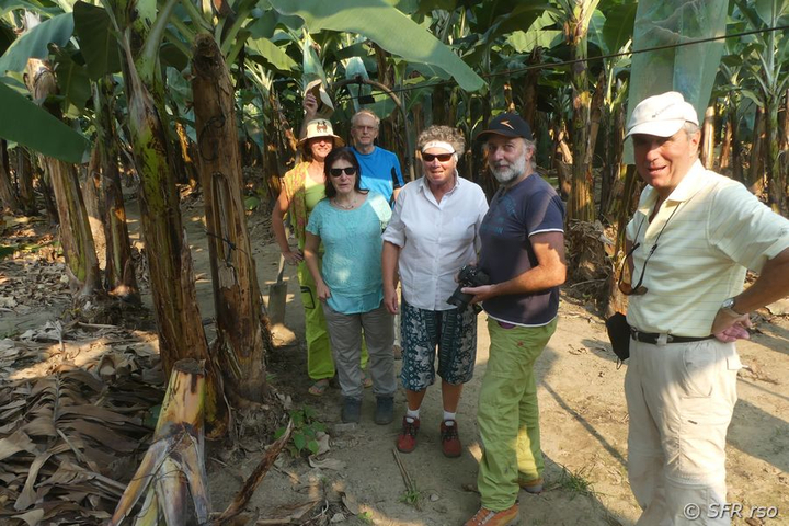 Bananenplantagenbesuch Ralph Sommer Ecuador
