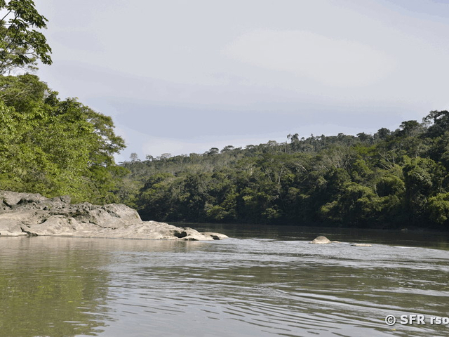 Rio Napo Ecuador