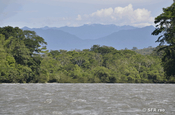 Río Napo und Blick auf Kordillere, Ecuador
