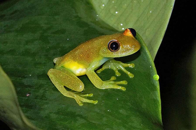 Frosch Napo Cultural Center Ecuador