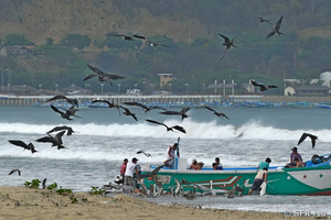 Puerto López Küste Ecuador