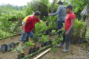 Nachhaltigkeit Tourismus Ecuador Ausladen von Zitruspflanzen