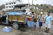 Fischaufkäufer, Ecuador