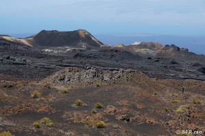 Vulkan Chico auf der Insel Isabela, Galápagos