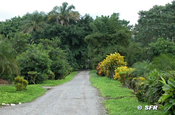 Einfahrtsstrasse zu Rio Palenque in Ecuador