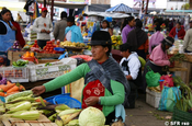 Maiskolben Verkäufer in Ecuador
