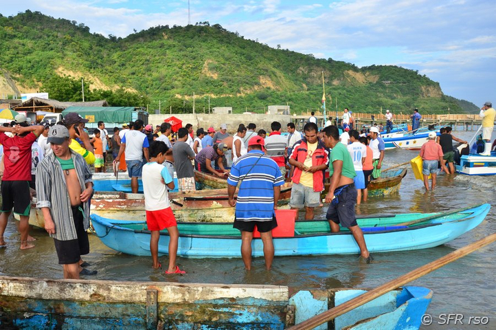 Fischverkauf in Ecuador