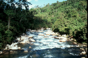 Fluss in Mindo in Ecuador