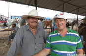 Pferdeverkäufer in Ecuador