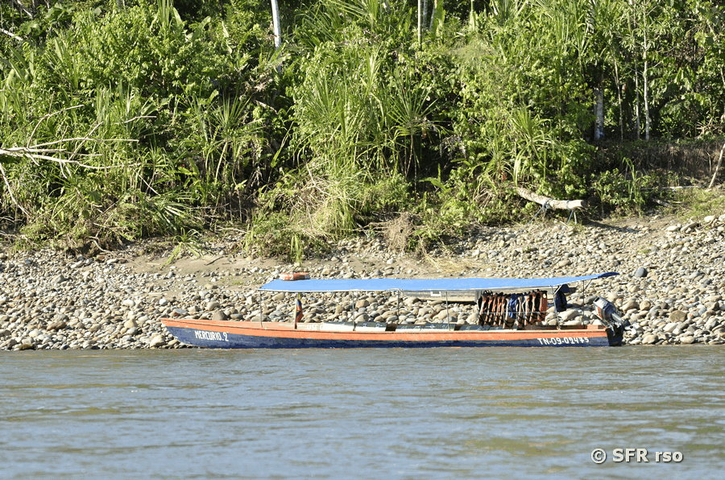 Boot am Flussufer des Río Napo, Ecuador