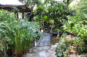 Bruecke im Garten Hosteria Isla de Banos Ecuador 