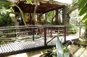 Garten Hosteria Isla de Banos Ecuador 