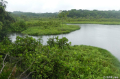 Lagune Napo Wildlife Center Ecuador