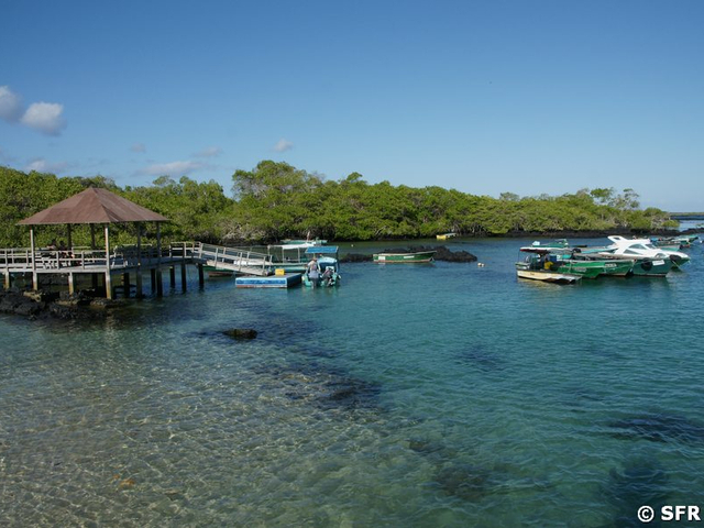 Angestellte in Las Tintoreras, Galapagos