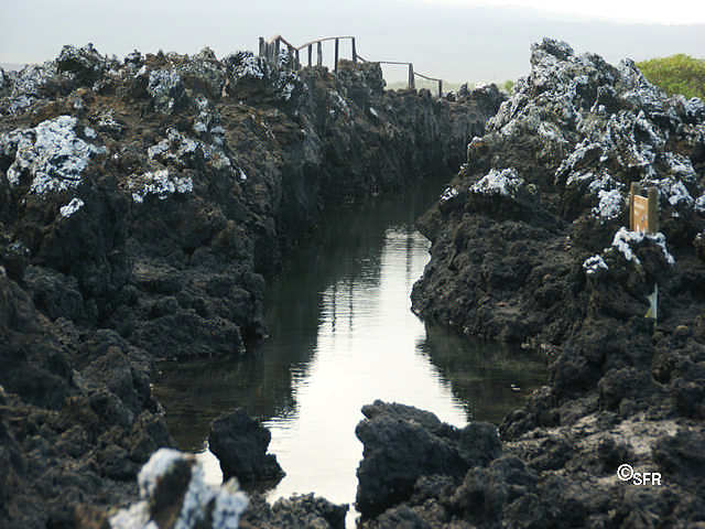 Tintoreras Kanal