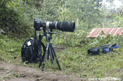 Ausrüstung zum Birding, Ecuador