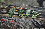 Maite Fisch über Holzgrill in Ecuador