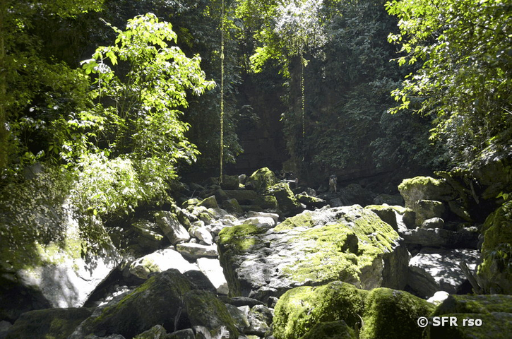 Bei Wasserfall Roca Ecuador