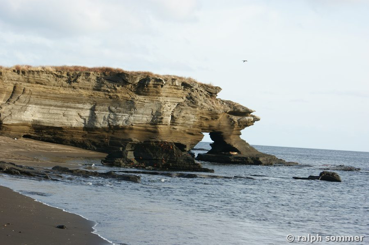 Tuffklippen auf Santiago, Galapagos