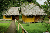 Yarina Lodge Bungalow Ecuador