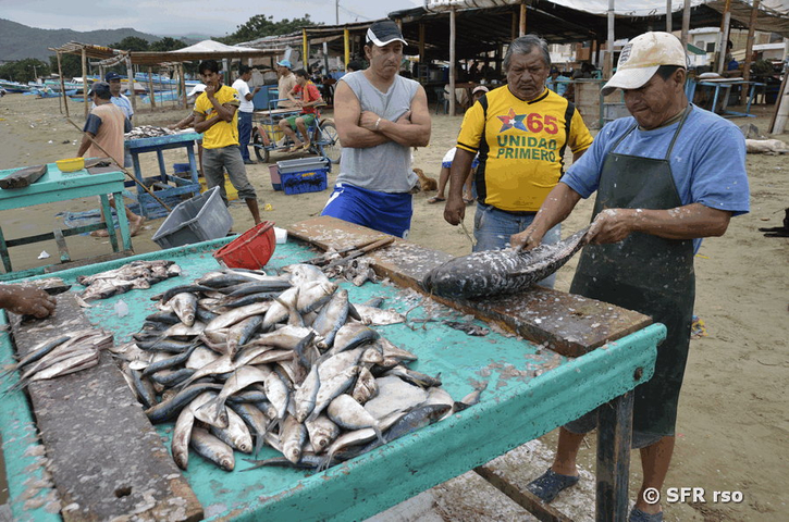 Fische werden entschuppt, Ecuador