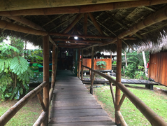 Pfad Siona Lodge Ecuador 