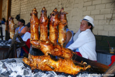 Cuyes über Holzglut in Ecuador