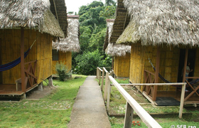 Hütten der Yarina Lodge