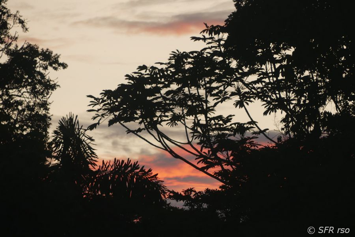 Sonnenuntergang Kapawi Lodge Ecuador