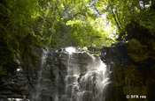 Wasserfall Roca Ecuador