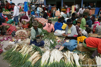 Lauchzwiebl Verkäuferinnen in Ecuador