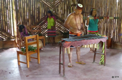 Marimbaspieler in Tolon, Ecuador
