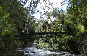 Brücke über den Pita Fluss, Ecuador